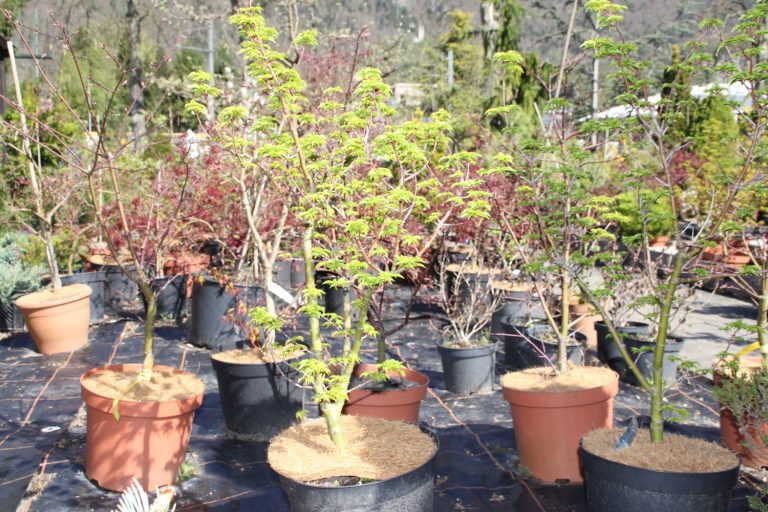 img_9724.jpg__1500x3000_q85_subsampling-2