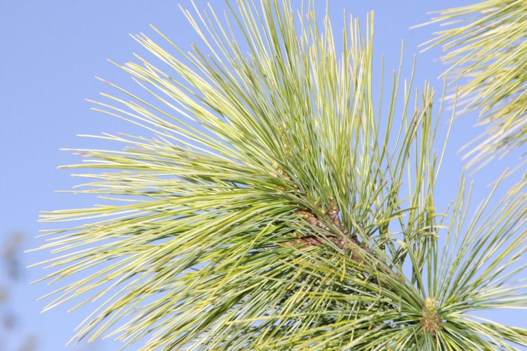 img_9746.jpg__1500x3000_q85_subsampling-2